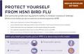 Information for Workers Exposed to H5N1 Bird Flu