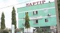 Spiritual cleansing: Parents defending Rivers pastor who flogged children need counselling - NAPTIP