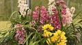 Calling all orchid lovers for the 2025 Spring Orchid Spectacular