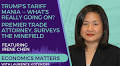 Trump's Tariff Mania -- What's Really Going On? Premier Trade Attorney, Irene Chen, Surveys the Minefield