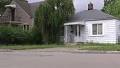 27 'chihuahua-type' dogs recovered from Dearborn Heights home by animal control
