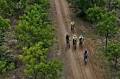 The 15 Million-Tree Miracle From Karnataka That Even The New York Times Couldn’t Ignore