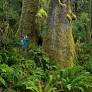 The Repeal of the Roadless Rule Threatens Our Wildest Public Lands
