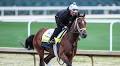 2025 Kentucky Derby Day: Expert picks, tips from Horse Racing Nation's Ed DeRosa