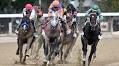 Breeders’ Cup Juvenile Betting Preview: Odds, Picks and Analysis