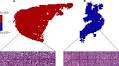 ‘Deep learning can predict survival directly from histology in clear cell renal cell carcinoma’