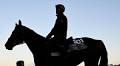 Breeders' Cup Classic 2025 predictions, odds, picks, time: Best bets from elite horse racing expert