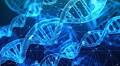 Biohacking Explained: Essential Wellness Safe Practices and Health Tips for Optimizing Your Body and Mind