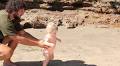 Reluctant Parents Release Their Baby Girl Into the Wild in a Hilarious Parody of a BBC Documentary