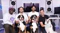 Create Music Group acquires MusicForPets, plans $10m investment to expand in the ‘music for pets’ space