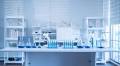 Europe’s animal testing statistics prompt renewed calls for an alternative way forward