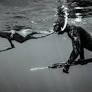 Generations Below the Surface: The Kelly Family’s Spearfishing Legacy