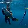 Expand spearfishing in Michigan? Anglers want more varieties, fishing sites