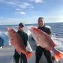 Into The Deep: The Brotherhood of Spearfishing
