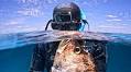 Fishing ban on cards for popular spot in Perth’s south