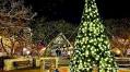 Naperville News Digest: Naper Lights, Letters to Santa, Holly Jolly planned