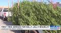 First tree arrives for Holly Jolly Brawley