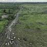 EU: Protect Integrity of Anti-Deforestation Law