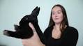 At Funny Bunny Services, Morgan Black pampers a different kind of furry pet