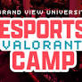 Valorant Summer Camp
