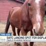 Something Good: Triple R Horse Rescue is a soft landing spot for displaced horses