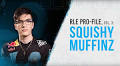 RLE PRO-Files, Vol. 3: SquishyMuffinz