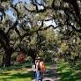 Out & About: Take a stroll through Brookgreen Gardens. Why it’s a top attraction