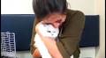 Legal battle for disputed feline ends in 'Christmas miracle'
