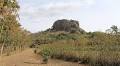 Iron Age plant remains tell new agricultural story in east Africa