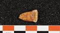 More plants on the menu of ancient hunters-gatherers