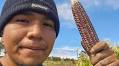 Farming program yields robust crops on the grounds of former army post and Indian boarding school