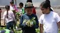 Oregon Farm to School Network launches 10-year vision plan