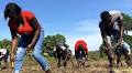 From crisis to cultivation: Haiti’s farmers build resilience one seed at a time