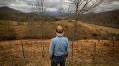 Helene’s profound impact on N.C. farms is only now coming into clearer focus