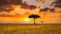 The Best Travel Insurance for Africa in 2025