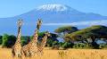 5 Reasons Why Africa Is The New “It Travel Destination” For 2023