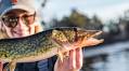 Cape Cod Fishing Report - January 14, 2021