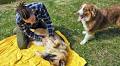 4 Biggest Differences Between Male and Female Dogs, According to New Study