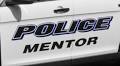 Dog euthanized after attacking 4-year-old Mentor girl and her mother