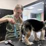 Young entrepreneur opens pet salon with focus on care and connection