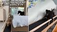 Tears Over How Man Improves ‘Quality of Life’ for Dog With Spinal Problems