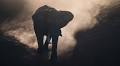 The 7 Principles of Exceptional Wildlife Photography
