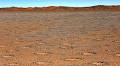 Is the Mystery of Namibia's Fairy Circles Finally Solved?