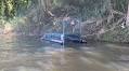 Dumbleton crocodile sighting - Mackay