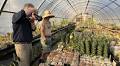 The Secret Gardens Saving the World’s Rarest Plants