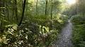 The secret treasure trove still hidden in Africa’s forests