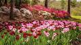 25 Secret Garden Tips We Learned From Grandma