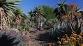 The Taft is Ojai’s best-kept secret garden