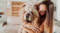 15 Dumbest Dog Breeds That Are Lovably Dopey