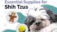 12 Essential Shih Tzu Supplies To Get You Started: 2025 Vet-Reviewed Guide